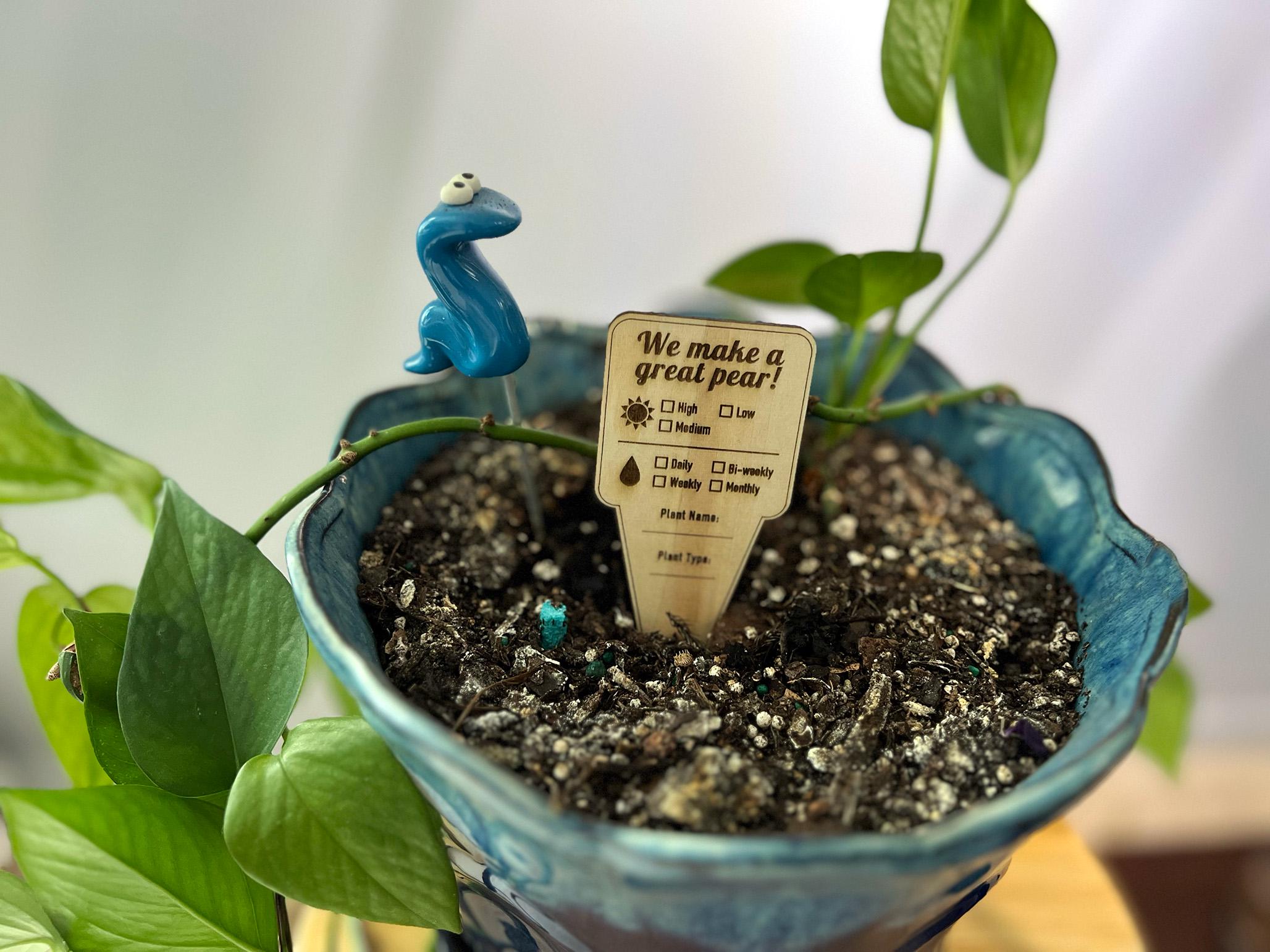 Sélection de cadeaux pour amateurs de plantes d'intérieur avec plante verte en pot et cache-pot en terre cuite