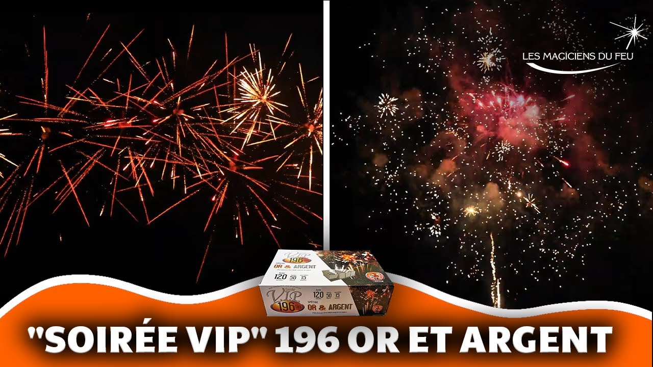 Feu d'artifice illuminant le ciel nocturne au-dessus d'une foule venue assister au spectacle pyrotechnique