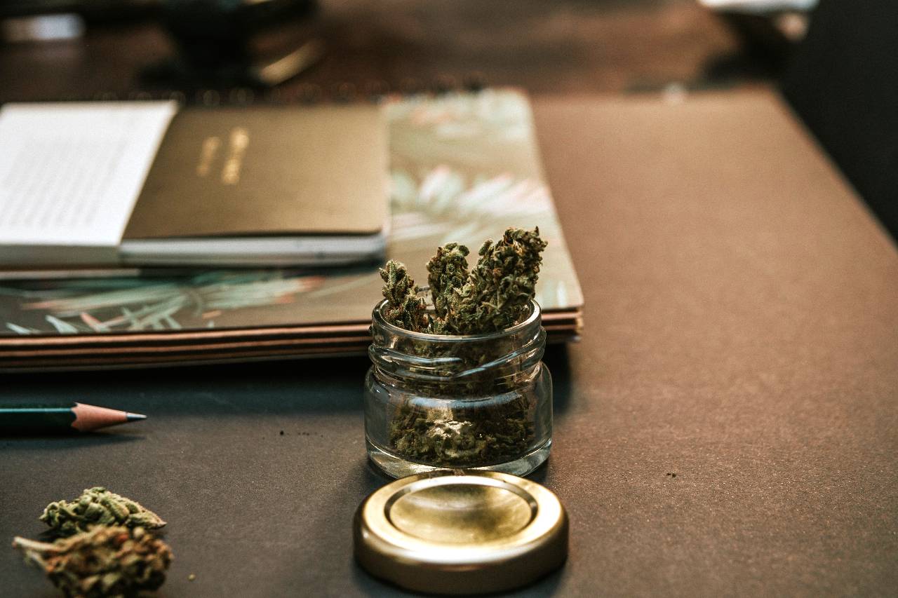 Tisane de CBD bio servie dans une tasse avec des fleurs de chanvre séchées à côté